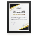 گواهینامه سخنرانی تدریس و طراحی آموزشی از وزارت کار و امور اجتماعی